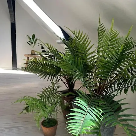 Penthouselejlighed Midt I Apartment *